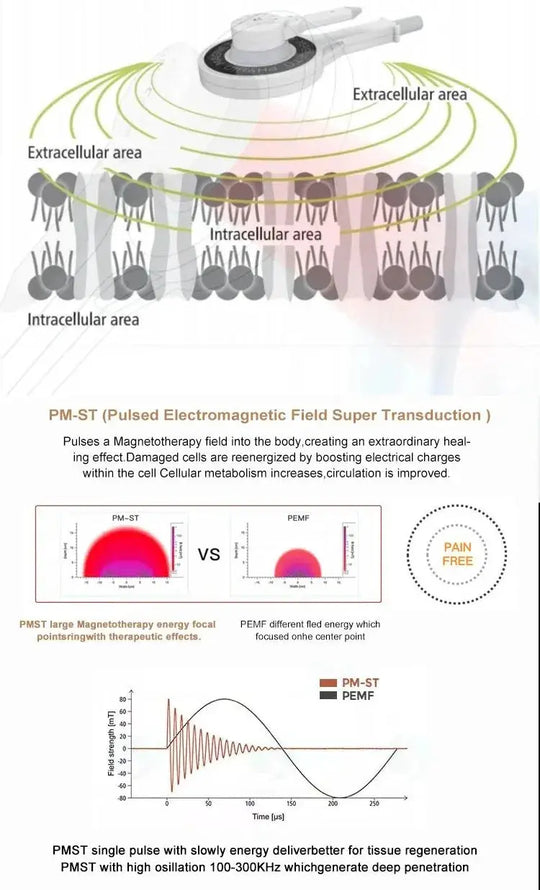 El dispositivo de terapia electromagnética PMST alivia el dolor, la recuperación de lesiones deportivas, equipo de fisioterapia no invasivo MedSurgery Store For Digital Health