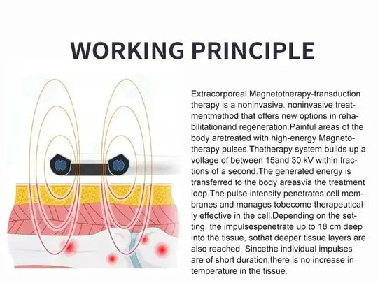 El dispositivo de terapia electromagnética PMST alivia el dolor, la recuperación de lesiones deportivas, equipo de fisioterapia no invasivo MedSurgery Store For Digital Health