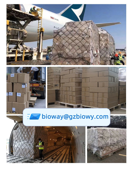 Dispositivo de Transferencia y Ducha Multifuncional: Su Aliado de Comodidad y Precisión en Cada Guardia.